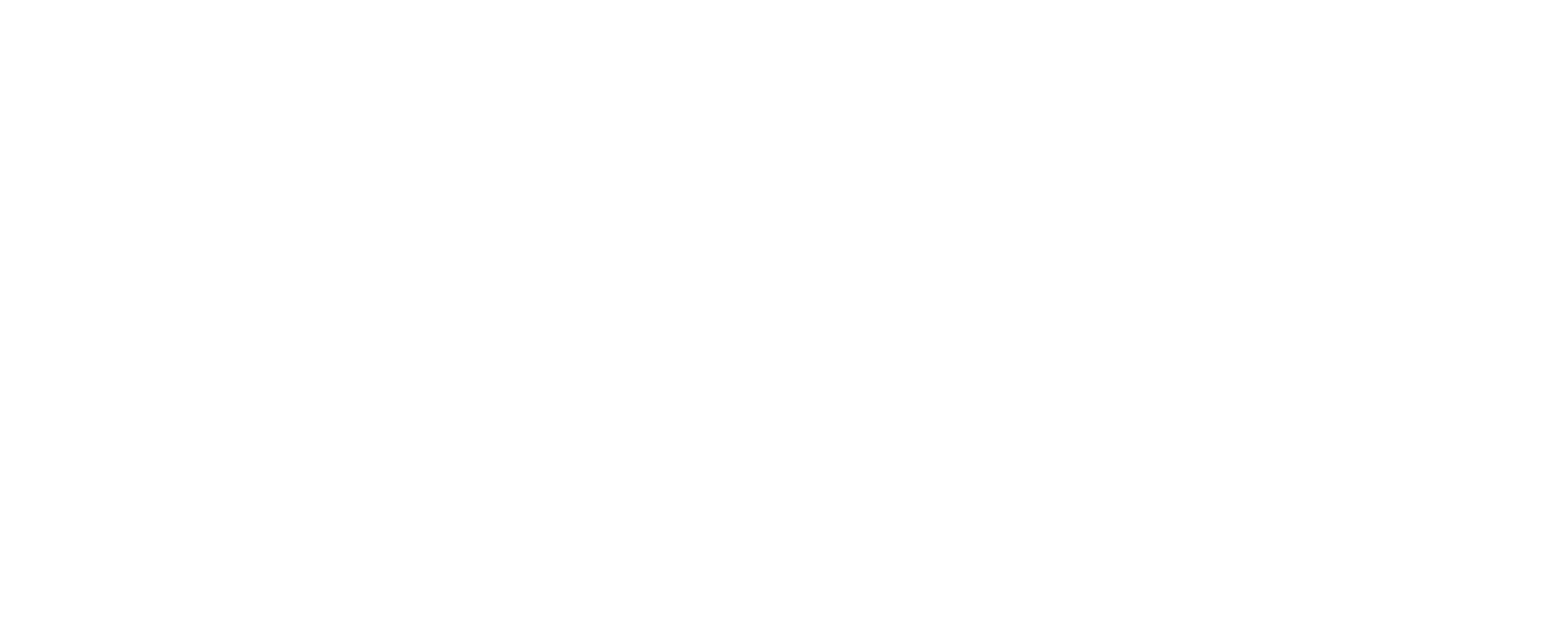 STIMMDB Logo